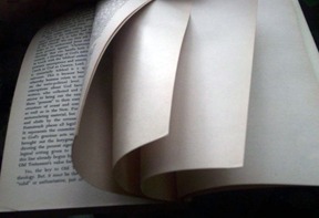 Blank_page_intentionally_end_of_book4in