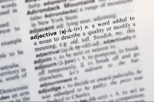 Dictionary definition of adjective